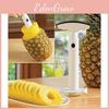 High-quality Pineapple Corer Slicer Peeler Cutter Parer Stainless Kitchen Kit