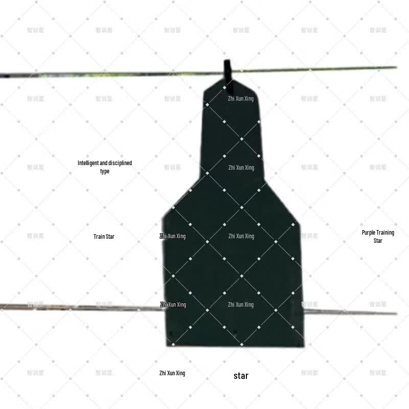 ZhiXunXing Professional Shooting Range Systems