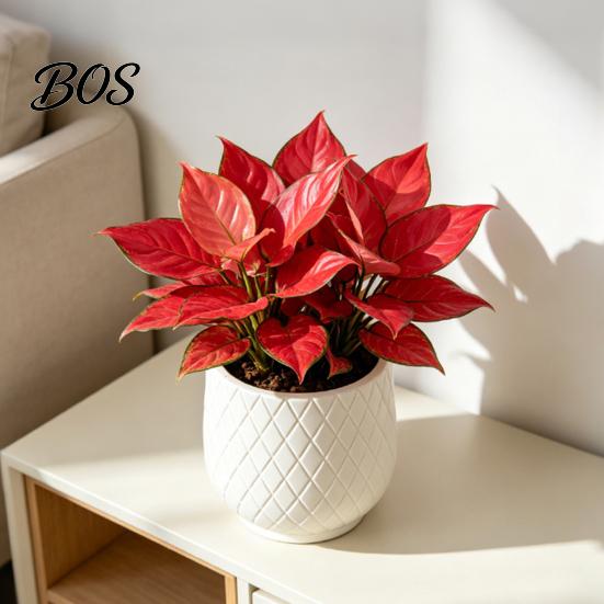 Large White Planters for Indoor Plants Flower Pot with Rhombus Embossed Texture, Heavy Duty Planter Stable Floor Standing Pots Outdoor Plants,