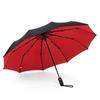 Double-Layer Umbrella Automatic 10-Bone Folding Reinforced Windproof Male Female Double-Purpose Double-Layer Umbrella