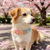 Крючком Цветок Лепесток Ошейник Ручной работы Цветок Собачий Ошейник Мягкий Милый Цветочный Ошейник с Пуговицей для Кошек И Маленьких Собак