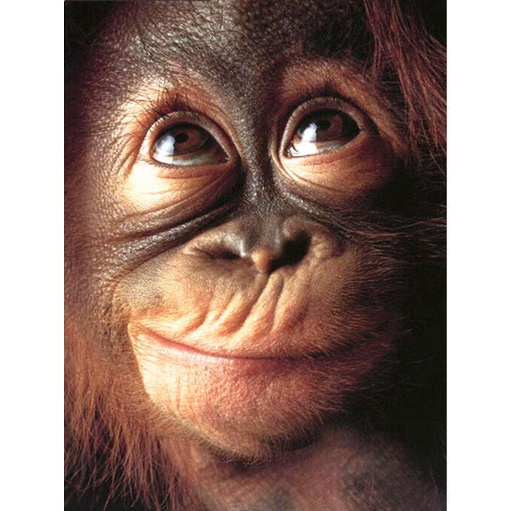 Алмазная живопись 5D DIY рисунок в ассортименте