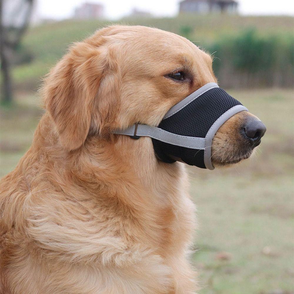 Adjustable Strap Dog Mouthpiece Comfortable Mesh Pet Mask Durable Dog Muzzle Small To Medium Dogs