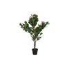 Decorative Plant DKD Home Decor Pink Green PE (60x60x125cm)
