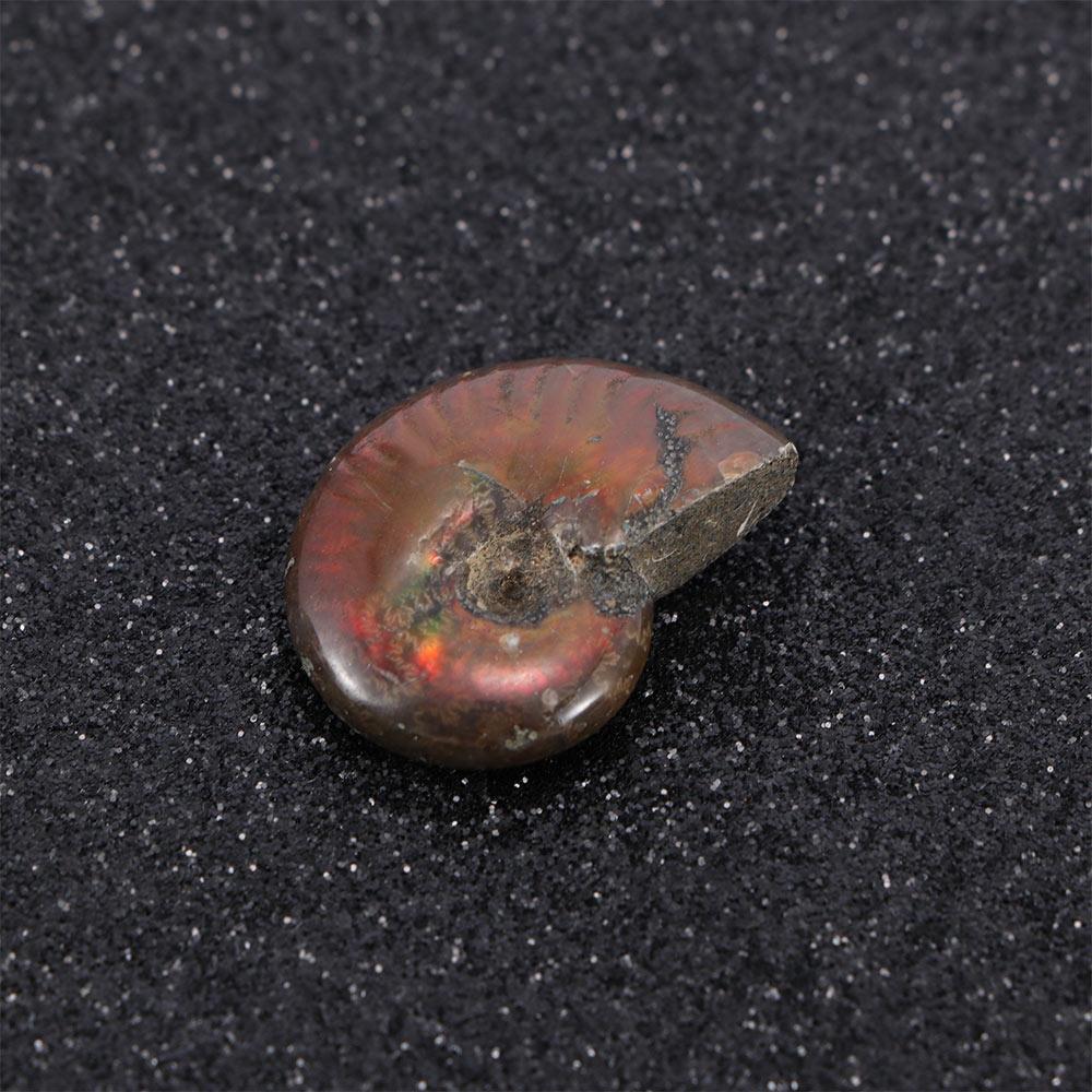 Luck Mascot Gifts Collectibles Natural Iridescent Specimen Ammonite