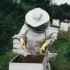 Профессиональный костюм пчеловода Защитный костюм пчеловода Дышащий комбинезон с эластичными манжетами, защитной сеткой-шлемом, шляпой, одеждой от пчел
