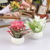 1/12 Кукольный домик Симуляция Модель комнатных растений в горшках Украшение для дома кукольного домика Микроландшафт Растения Орнаменты Аксессуары для кукольного домика