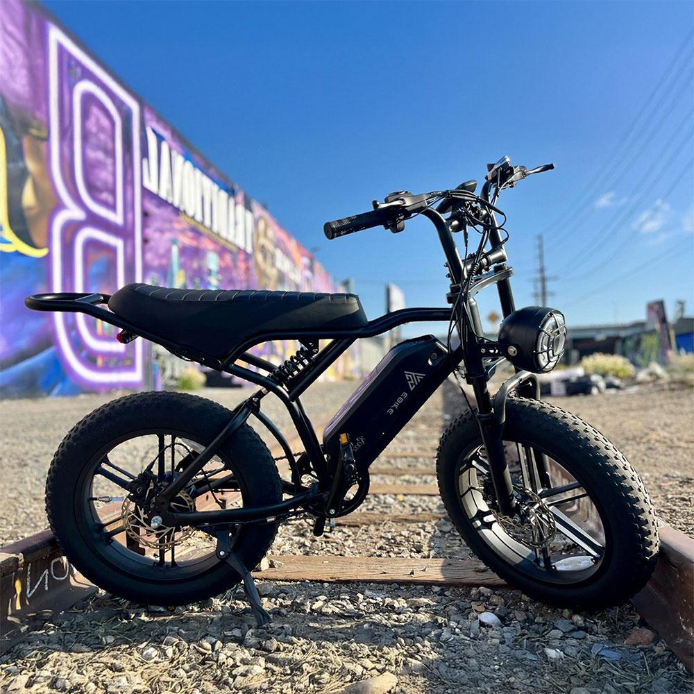 20 Inch Electric Mountain Bike 250W Fat Tire E Bike Adults Off Road Dirt Ebike Pedal Assist 48V EU Warehouse Electric Bicycle