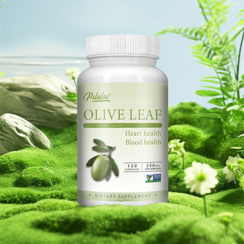 Pslalae Olive Leaf Extract 250mg Capsules 120 Count — Antioxidant Support, Daily Wellness, Nutritional Support