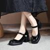Модная обувь Мэри Джейн Женская весна и осень 2024 Новая модная универсальная в западном стиле на высоком каблуке с круглым носком Ретро одинарная обувь