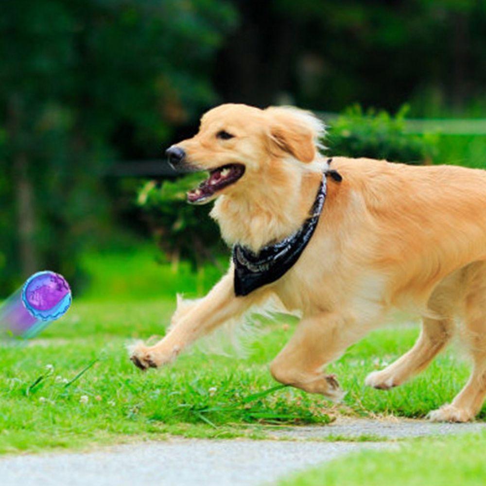 Sound Pet Supplies Chew Toys Relieve Boredom TPR Sounding Toy Elasticity Ball Molar Ball Dog  Toy