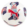Puma Orbita 6 Football