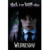 Wednesday Black Is My Happy Color Poster