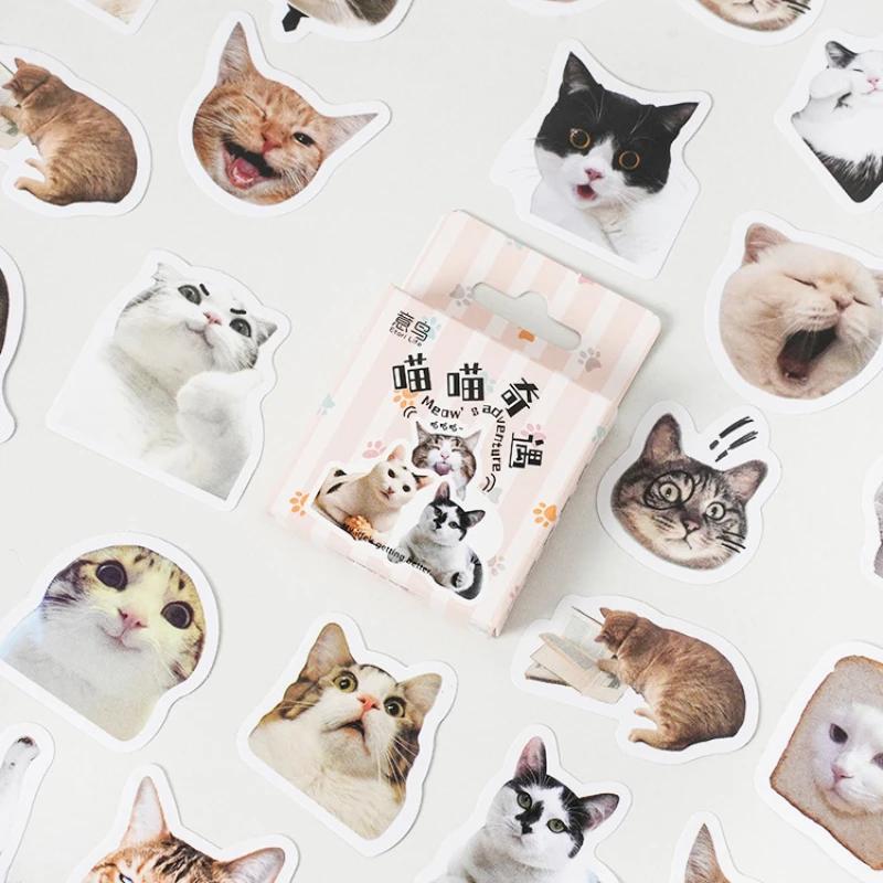 Наклейки Kawaii Black Cat Предметы Украшения DIY Наклейки Справочники В Коробке Милые Наклейки Корейские Канцелярские Товары