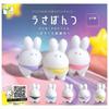 Usapantsu Pastel Escape x All 5 Types Set Full Complete Gacha Gacha Capsule Toy