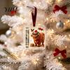 Christmas Hanging Ornament Money Holder Ornaments for Cash, Clear Acrylic Xmas Tree Cash Decoration Gift Decorations Holiday Party Favors, Stocking