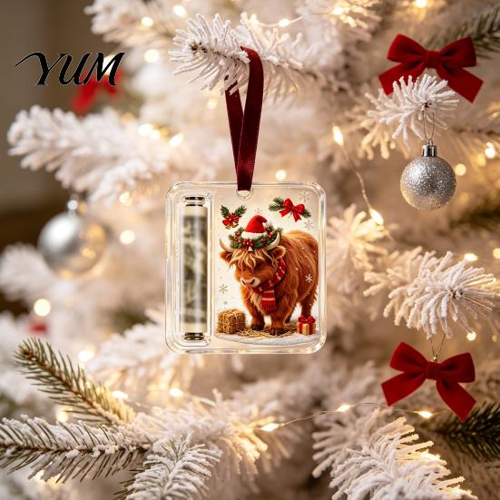 Christmas Hanging Ornament Money Holder Ornaments for Cash, Clear Acrylic Xmas Tree Cash Decoration Gift Decorations Holiday Party Favors, Stocking