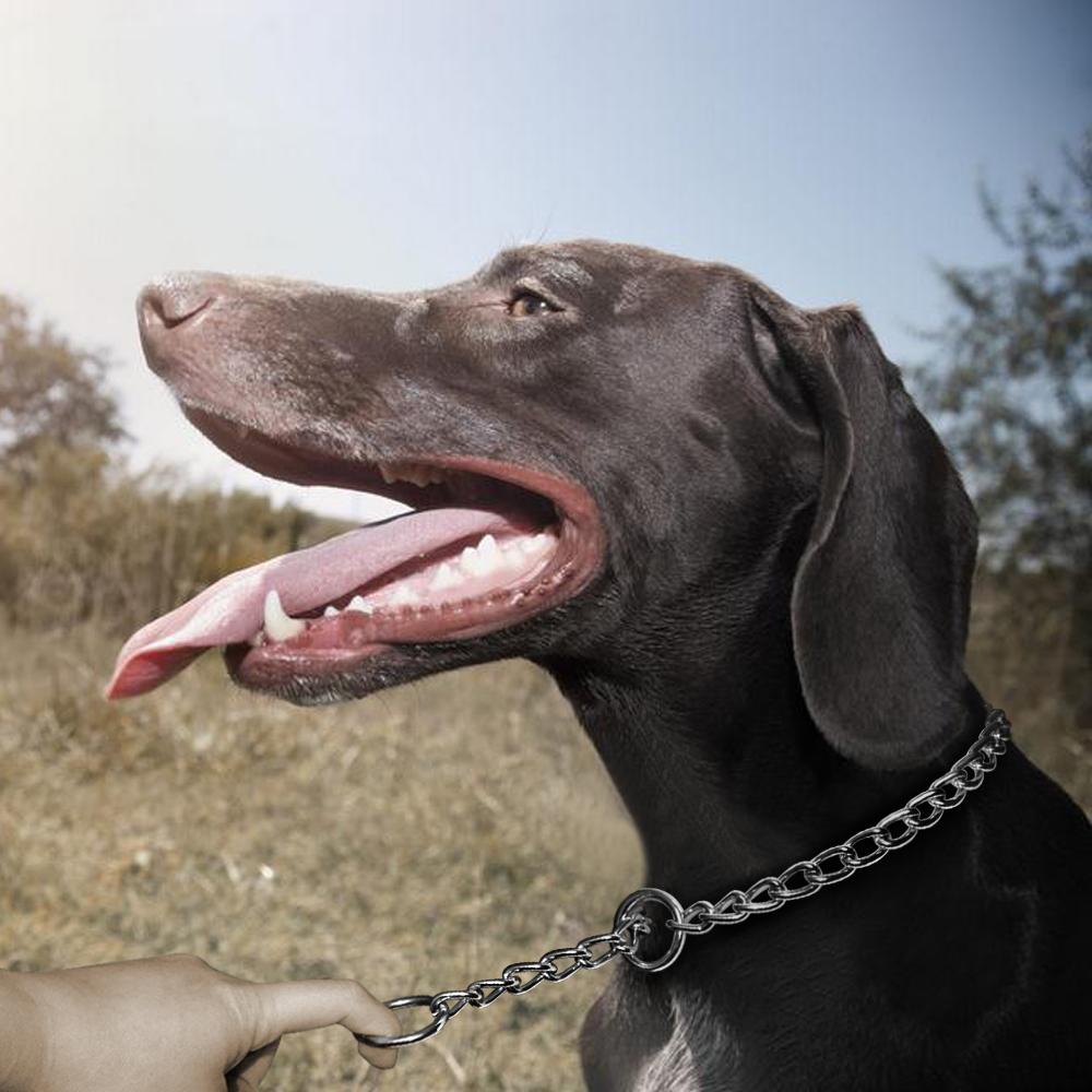Ошейник-удавка для собак, ошейник-удавка для собак, ошейник с металлической цепью для дрессировки маленьких, средних и больших собак, диаметр 2,0 мм, 2,5 мм, 3,0 мм, 4,0 мм