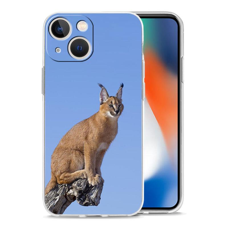 Чехол для телефона iPhone 17 Air Cases iPhone 16 15 12 13 14 Pro Max SE 7 8 Plus iPhone11 Прозрачный чехол Африканская рысь Каракал