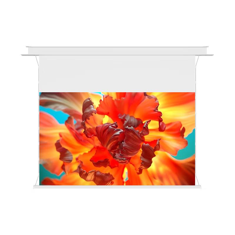Pang Juren Smart Electric Projection Screen