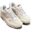 Air Max 1 Premium День Хангуля AIR MAX 1 PRM HANGUL DAY Summit Milk Япония Белый/Парусный/Кокосовый DZ5317-121 27,5 см