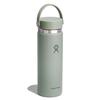 Wide Mouth 20oz (591ml) Agave Stainless Steel Water Bottle (Official Japanese Product)