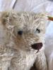 [USED] Steiff Teddy Bear