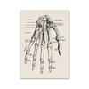 Vintage Human Anatomy Artwork Medical Wall Picture Muscle Skeleton Poster Canvas Art Print Education Hospital Pharmacy Paintings