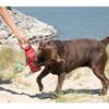 Jouet fitness pour chien
