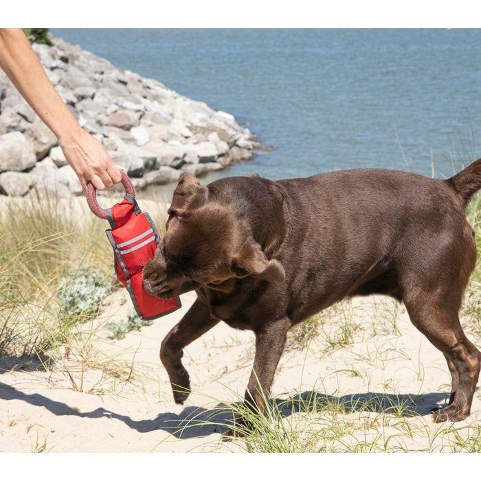 Jouet fitness pour chien