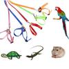 Multispecies Pet Walking Harness: Adjustable 8-Shaped Traction Strap for Birds, Hamsters, Turtles, and Lizards