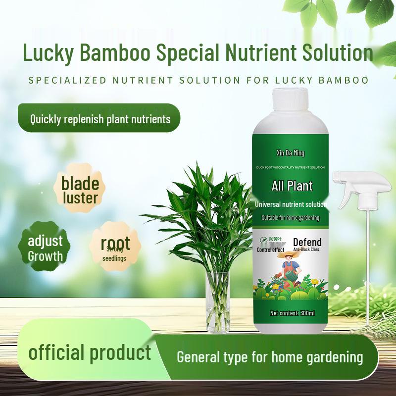 Hydroponic Lucky Bamboo Nutrient Solution for Anti-Yellowing Leaves & Enhanced Rooting
