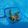 Pool Skimmer Net Fine Mesh Solid Plastic Frame Portable Large Capacity Heavy Duty Leaf Fine Debris