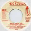 7-дюймовая пластинка FIONA, LLOYD BROWN - What Good Am I VPS8986 Joe Frasier US 2005 US Регги, Ска и Даб