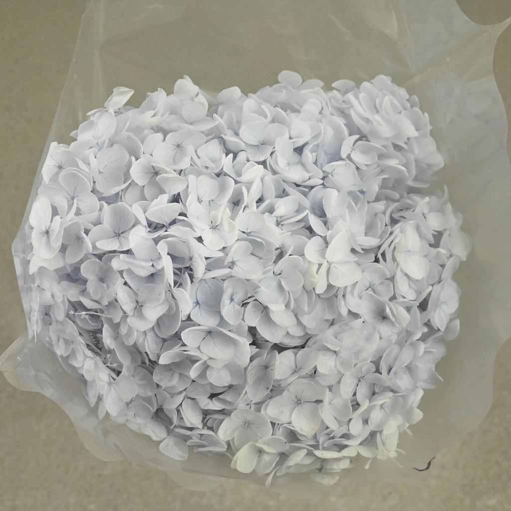 Phantom Flower: Single 20CM Preserved Hydrangea, Handmade Dried Bouquet for Decoration