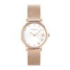 Coach PERRY Women's 28mm Silver Dial Stainless Steel Quartz Watch (14503520) In Rose Gold