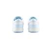 Nike Dunk Low Slip Resistant Abrasion Resistant Slip Resistant Abrasion Resistant Low top Skateboard Shoes Unisex HF5441-103(Team1254-)