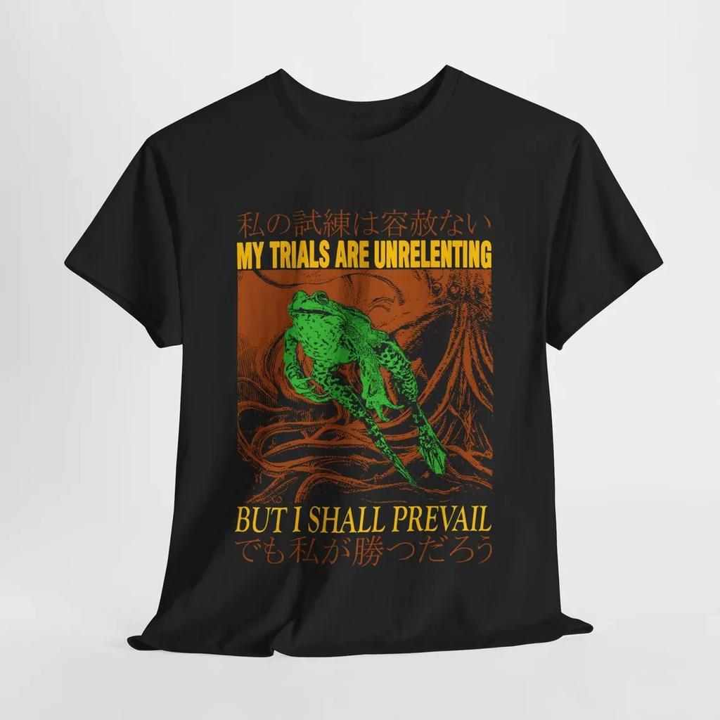It Is What It Is Frog TShirt Funny Meme T Shirt Harajuku Japanese Style Tshirt Womens Fashion Casual Tshirts