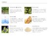 CLY Lotion Увлажняющий лечебный лосьон 120 мл b.glen (официальный) <CLY Lotion>[Квази-наркотик] / 4,06 жидких унций.