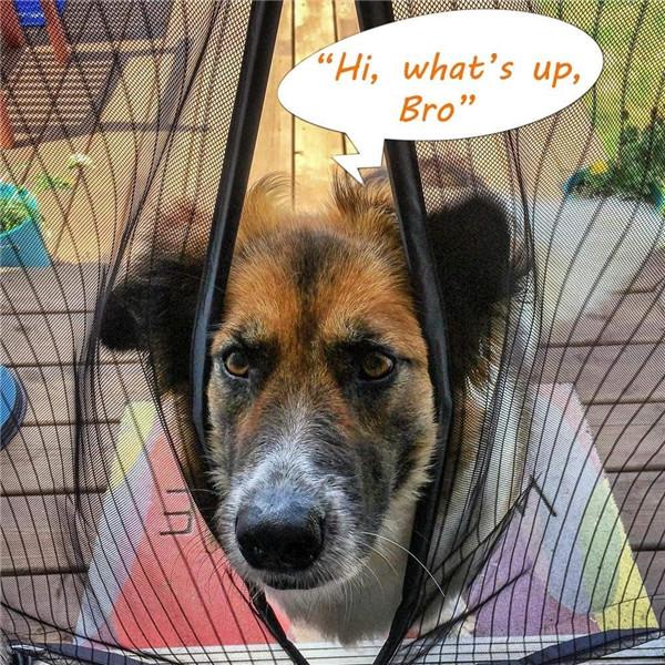 2024 противомоскитная дверная занавеска, магнитная мягкая пряжа, экран, оконная дверь, спальня, самовсасывающая дверная сетка, экран на липучке, дверная сетка, экран