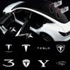 2/4 шт. HD-проекторы 'Призрачная тень' для Model 3/Y/X/S/Highland | Проектор приветствия с логотипом автомобиля | Светодиодные огни двери, легкая установка