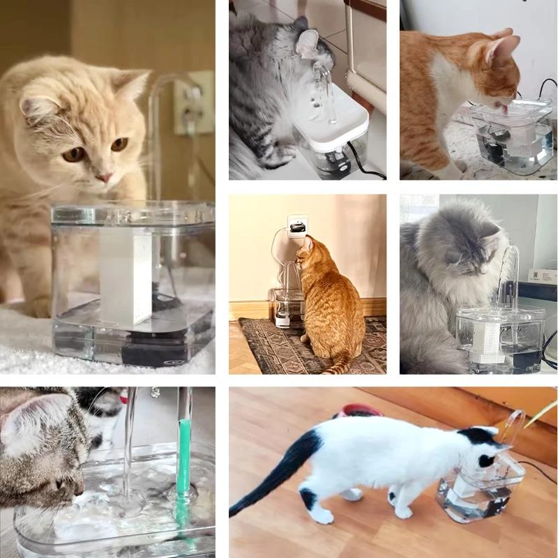 Фонтан для воды для кошек, автоматический фильтр, прозрачная поилка для кошек, USB электрическая бесшумная поилка с рециркуляцией и фильтрацией для кошек, диспенсер для воды