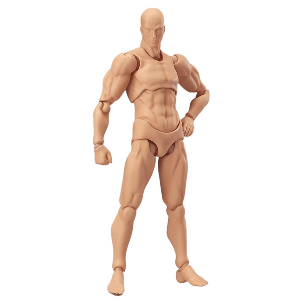 Movable Joints Sketch Drawing Model Male Female Action Figure Model Model Ornaments