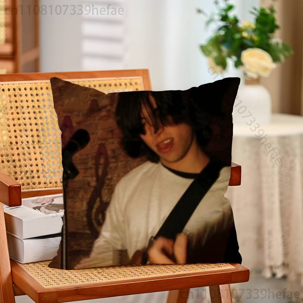 Alex G Album Throw Pillow Case For Decoration 30cm 50cm 55cm Square Home Pillowcase Case