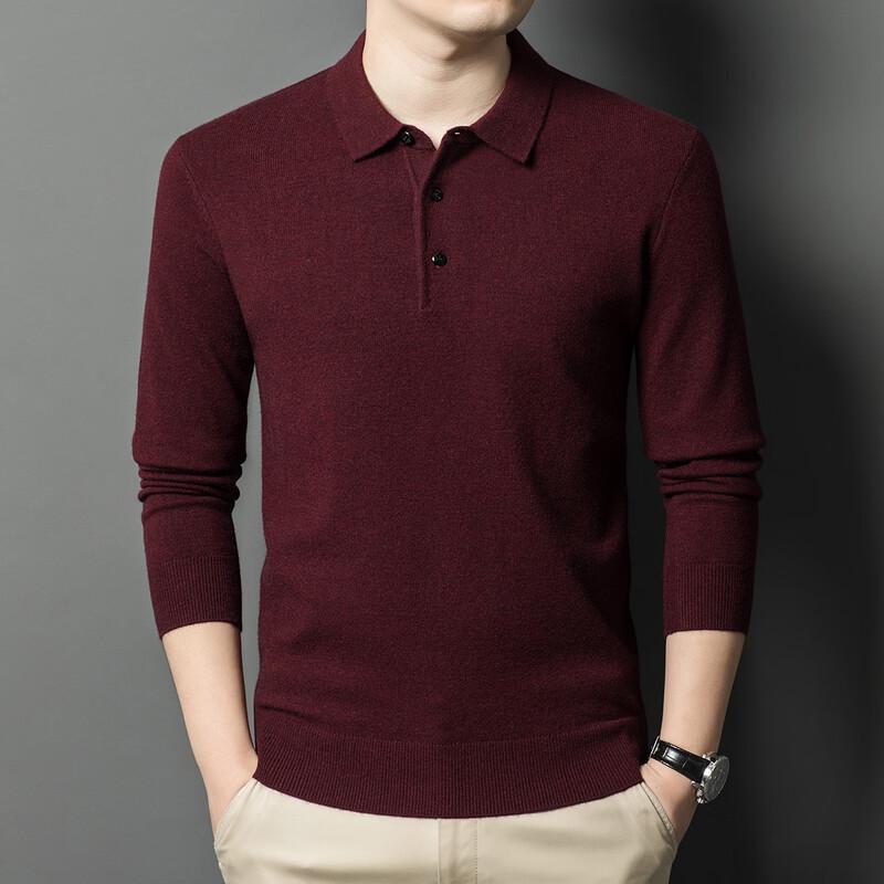 Men's Minimalist Business Casual Collared Knit Sweater