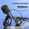 Проводные наушники K Song Type-C внутриканального типа с зажимом-микрофоном для качественного пения и прямых трансляций.