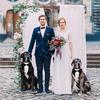 Dog Tuxedo Suit Wedding Bandana Collar with Bow Tie, Adjustable Formal Dog Tux Engagement Birthday Tuxedo for Large X-Large Dogs Pets (X-Large: Neck