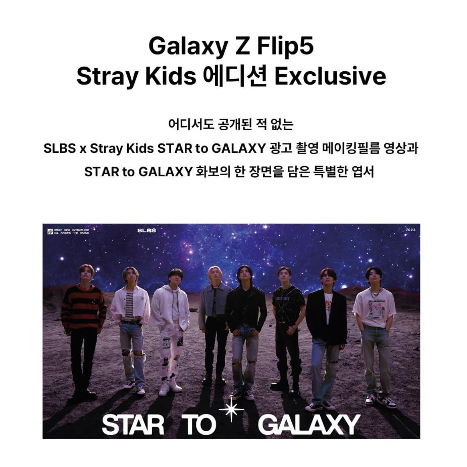 SLBS x SKZ PICK Stray Kids Accessories Edition для Galaxy Z Flip5