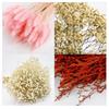 Dried Flower Bouquet Holiday Decor Natural Beautiful Festival Gift