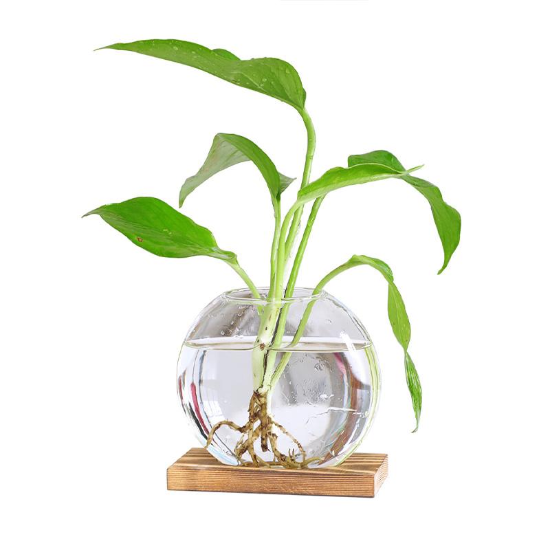 1 шт. скандинавская прозрачная круглая стеклянная ваза гидропонное растение террариум контейнер цветочные горшки микро аквариумы пейзаж домашний декор